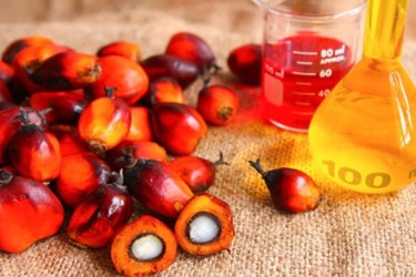 Что такое техническое пальмовое масло, и существует ли оно вообще? рис-3