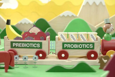 Пробиотики и продукты, их содержащие: самая полная информация от эксперта рис-5