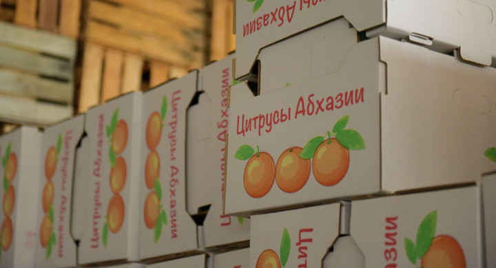 Как отличить и правильно выбрать абхазские мандарины рис-2