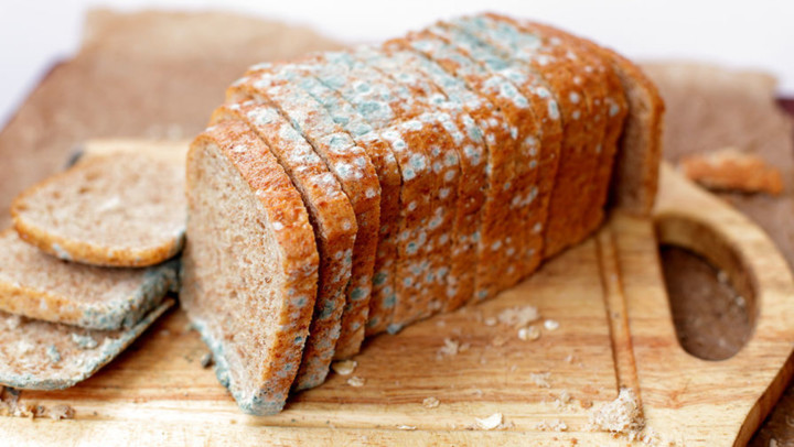 Почему хлеб быстро плесневеет