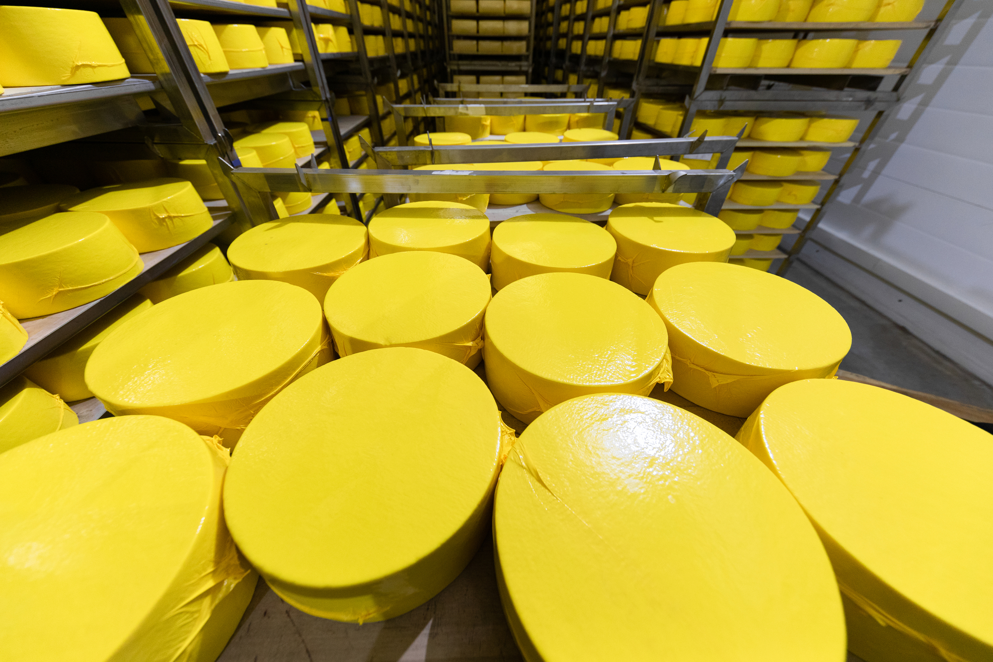 Завод по производству сыра закрыт за фальсификацию