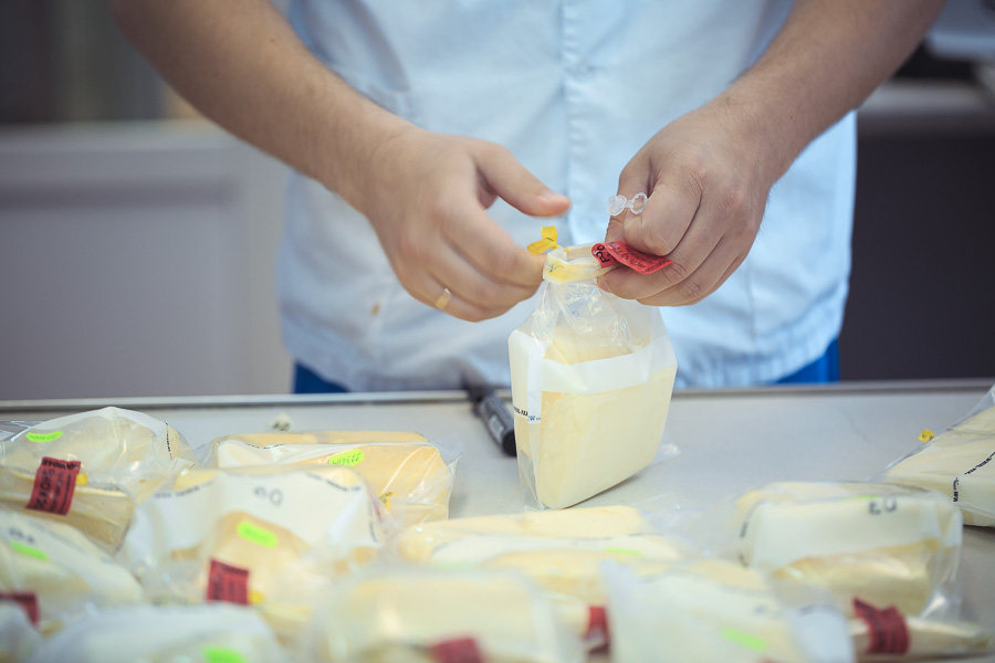 36 из 46 торговых марок сыра и масла — фальсификат! Итоги экспертизы