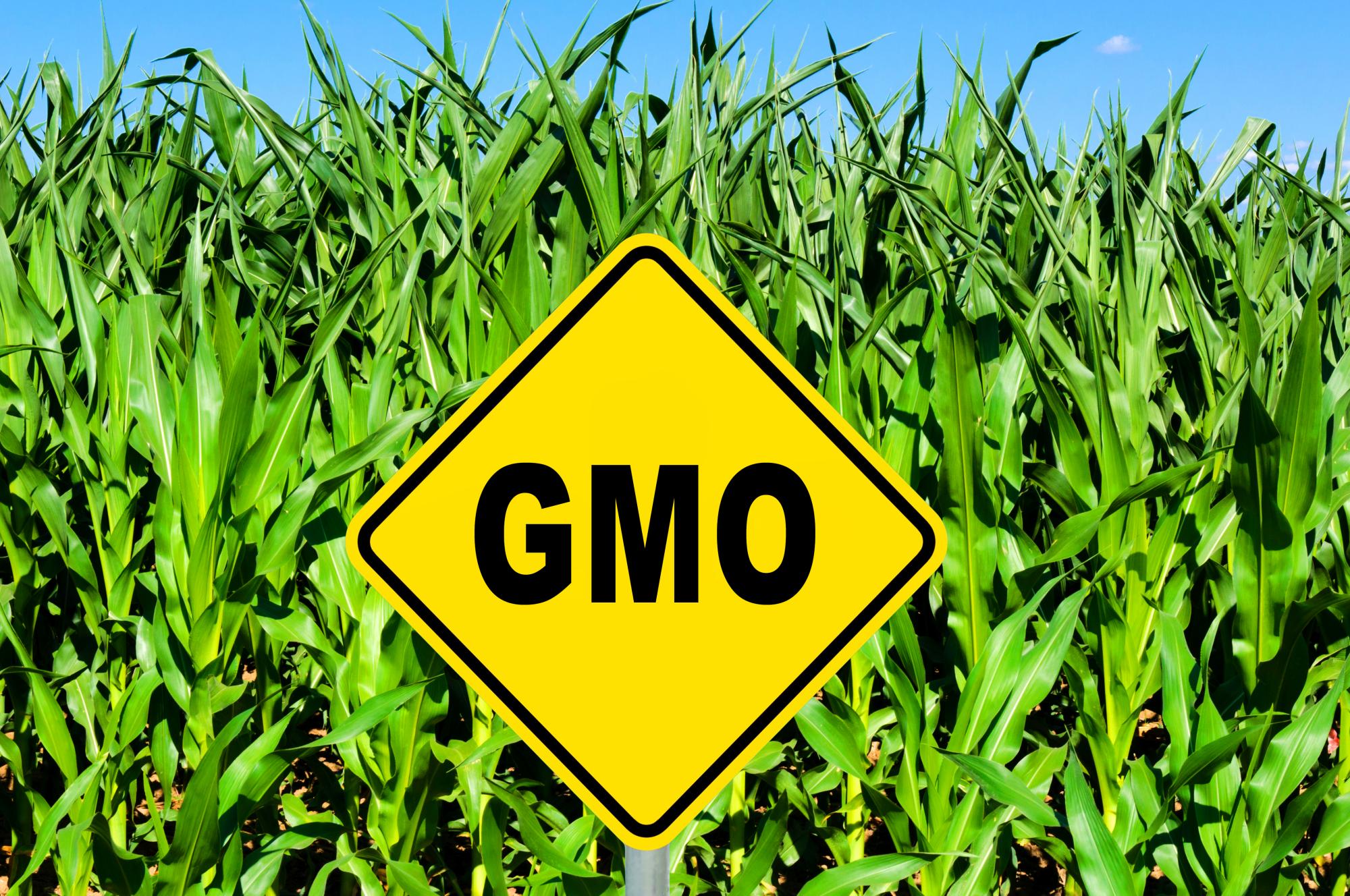 В Алтае изобрели прибор, измеряющий ГМО