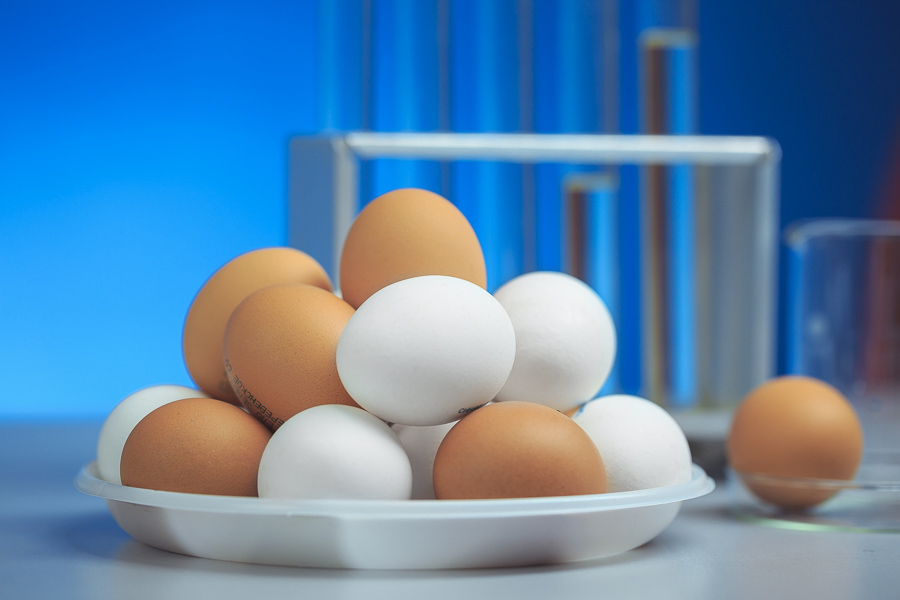Куриные яйца: какие есть, а какие красить?
