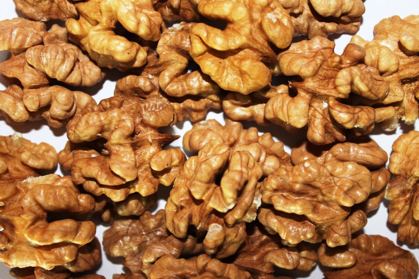грецкие орехи плесень фото