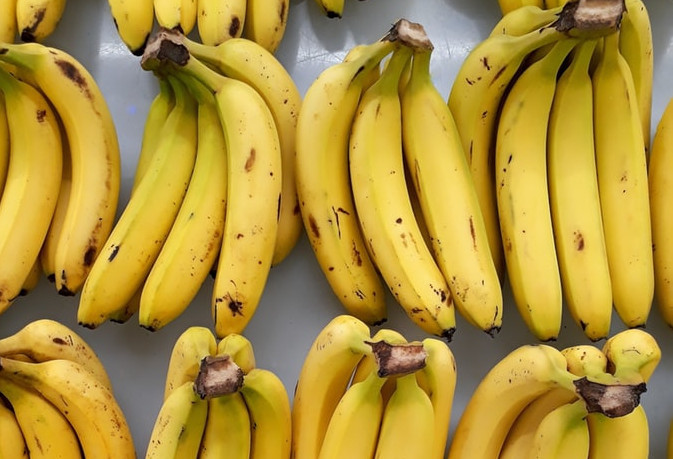 Бананы могут исчезнуть из-за «панамской болезни»