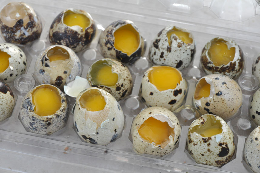 Перепелиные яйца: действительно ли они полезнее куриных? Объясняет врач-диетолог рис-3