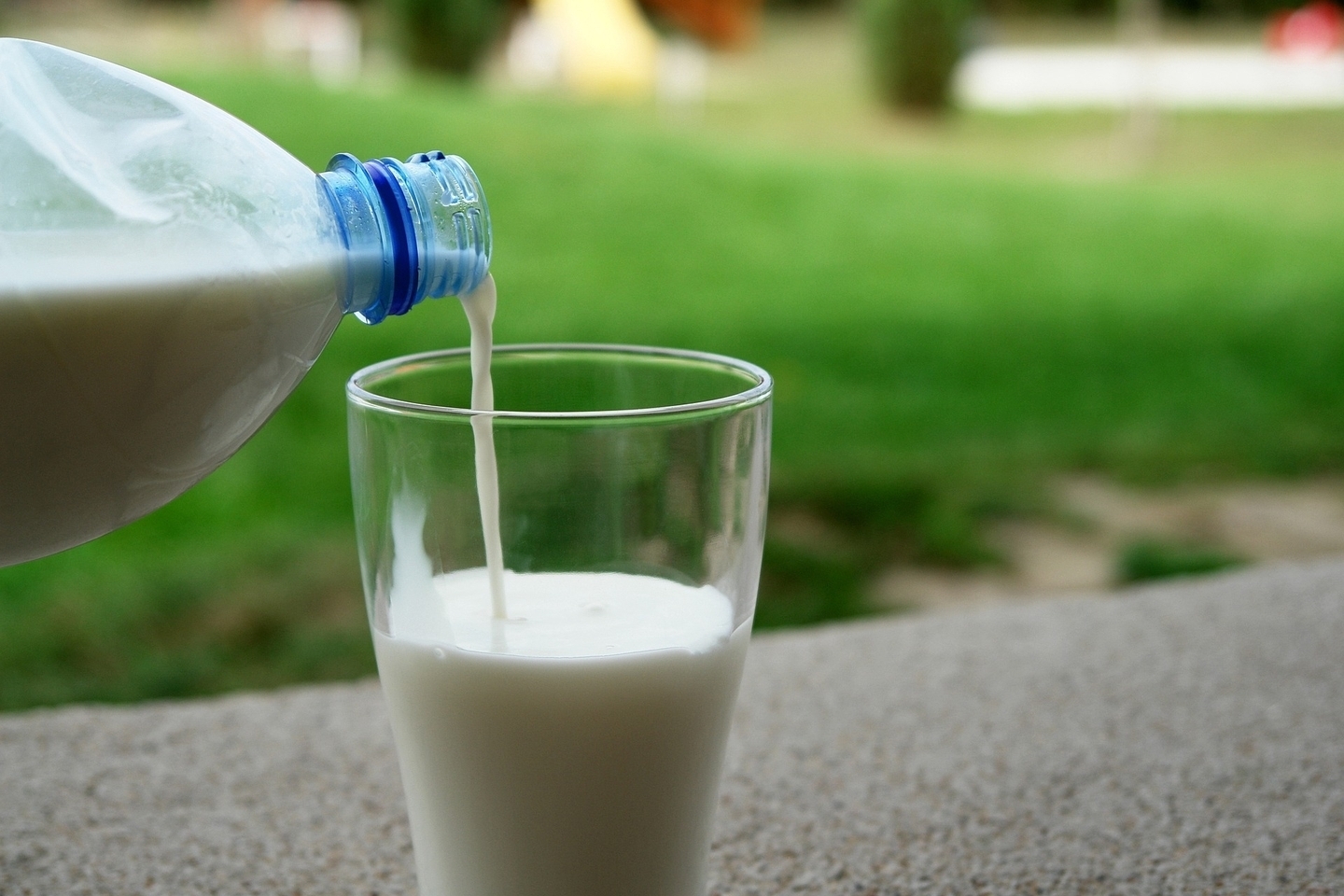 Козье молоко и продукты из него: нужны ли они сегодня российскому потребителю?