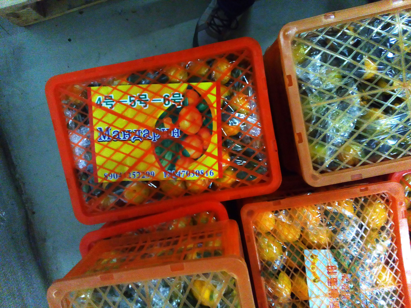 Расследование Росконтроля: что продают под видом абхазских мандаринов?