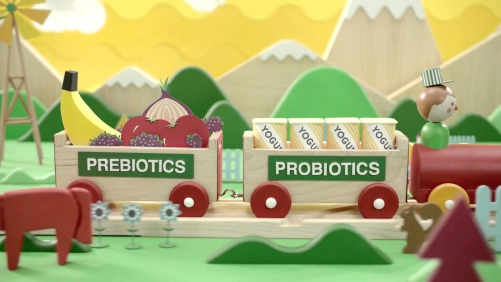 Пробиотики и продукты, их содержащие: самая полная информация от эксперта
