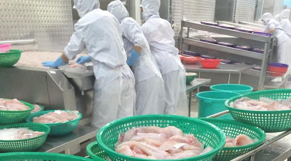 Почему рыба из Вьетнама и Китая стоит дешево? Рассказывает производитель