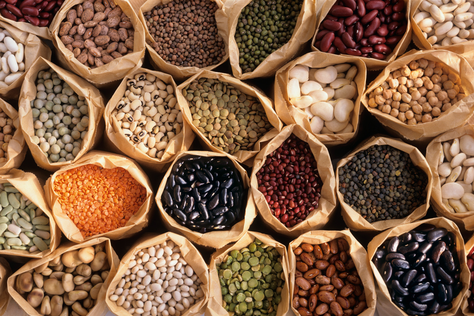 Могут ли готовые продукты быть значимым источником белка для организма? рис-2