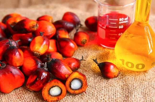 Что такое техническое пальмовое масло, и существует ли оно вообще? рис-2