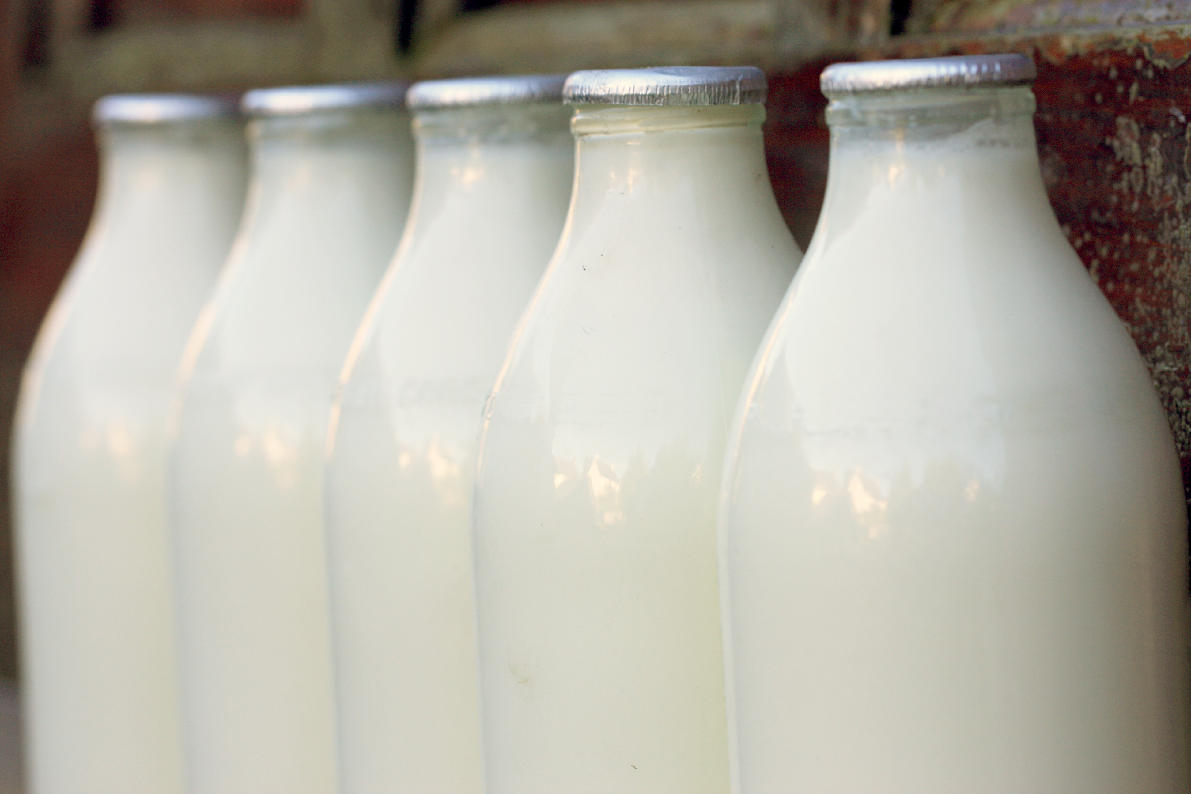 Каждая пятая бутылка молока в Кузбассе - некачественная