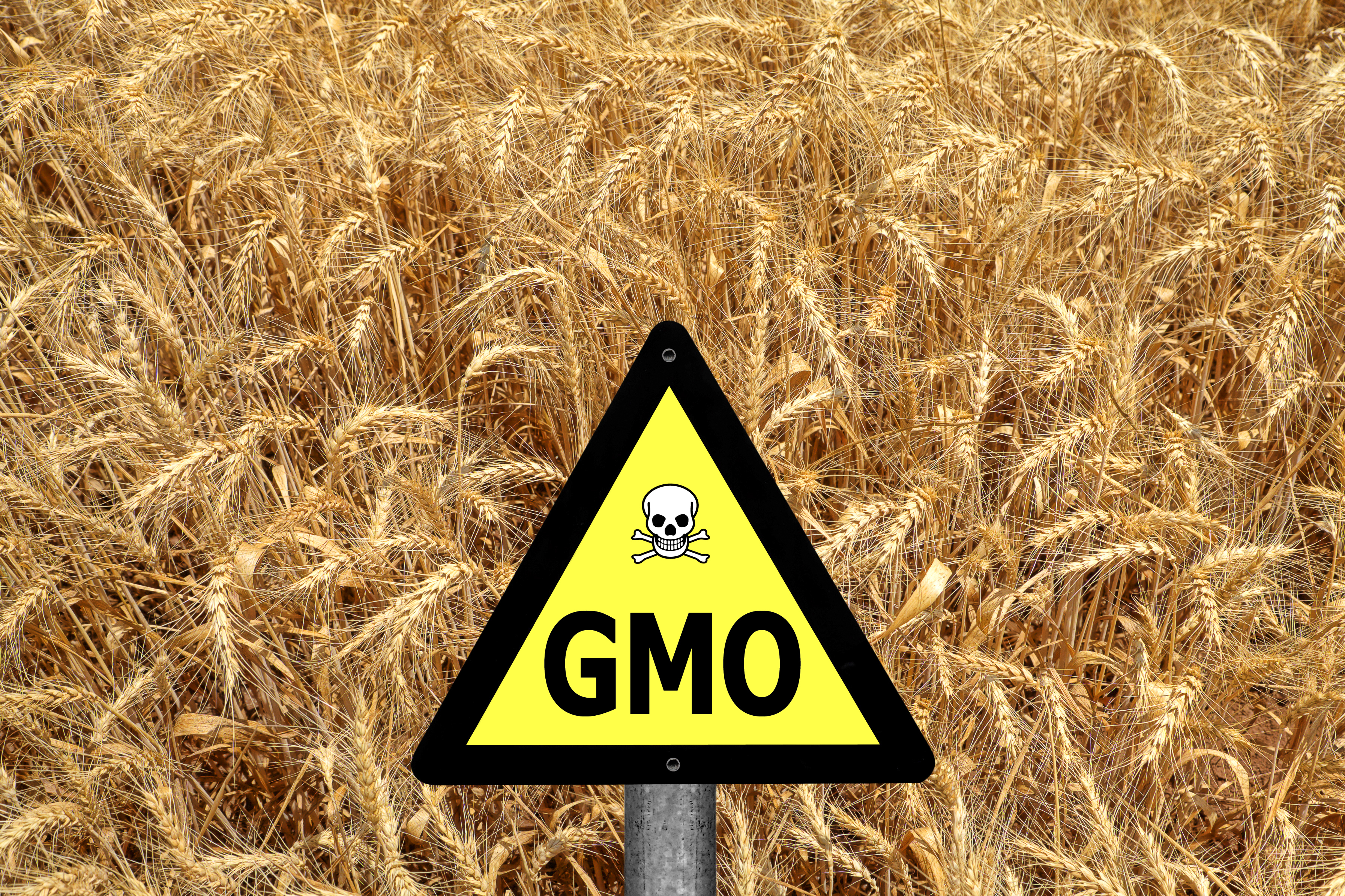 Штраф за отсутствие маркировки ГМО на продуктах
