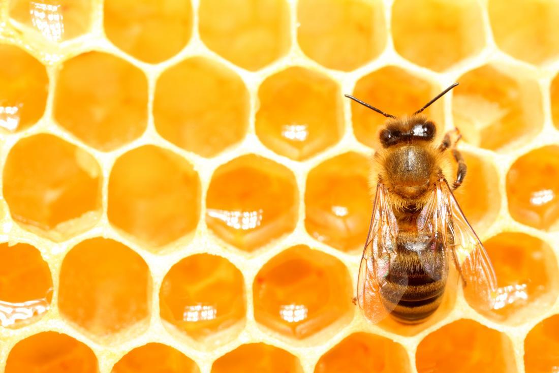 Пчелы исчезают, останется ли натуральный мед?