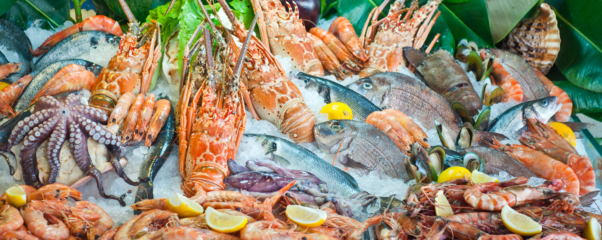 Ученые выяснили, сколько микропластика в рыбе и морепродуктах
