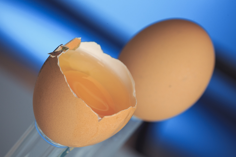 Куриные яйца: какие есть, а какие красить? рис-6