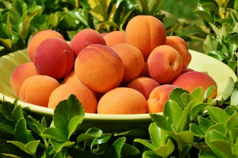 Сезон персиков и абрикосов: покупаем лучшие! рис-4