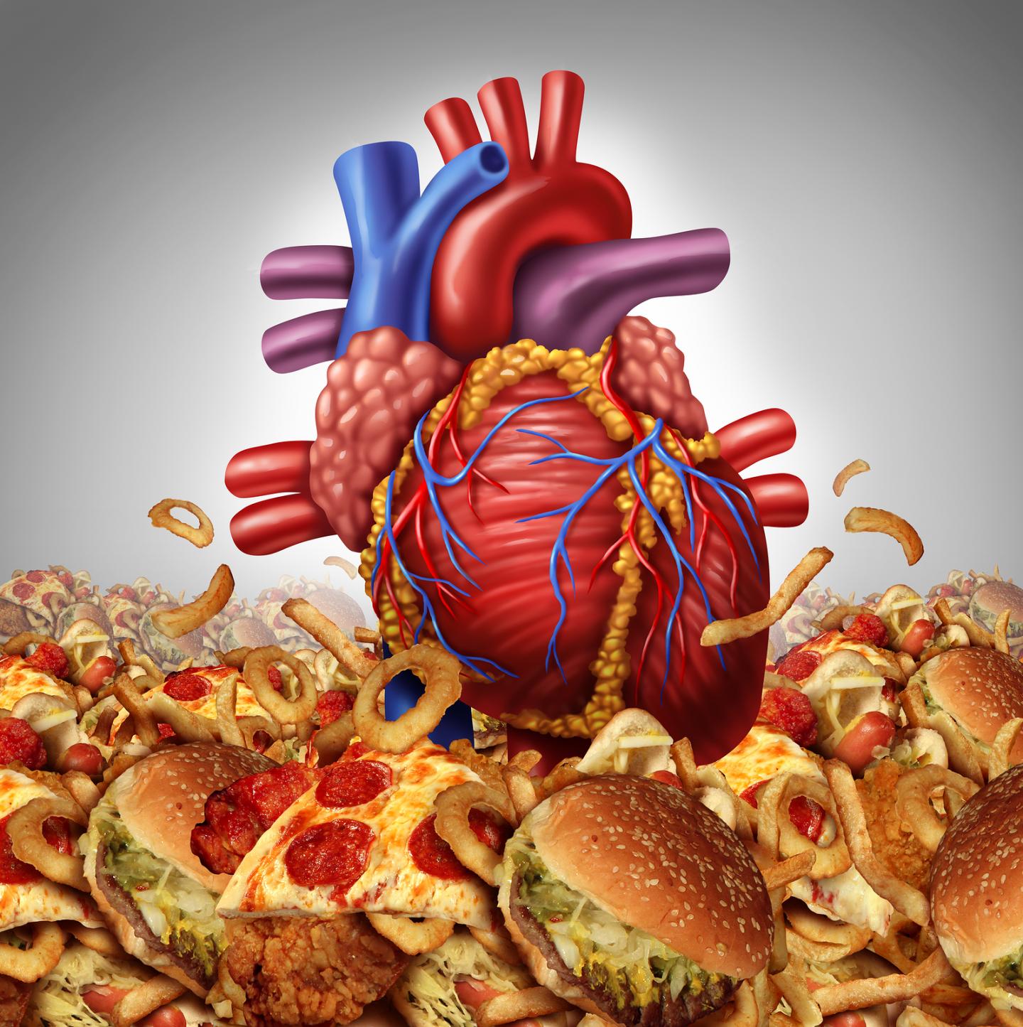 Как питание стало фактором риска для россиян: некачественные продукты, которые провоцируют заболевания сердечно-сосудистой системы