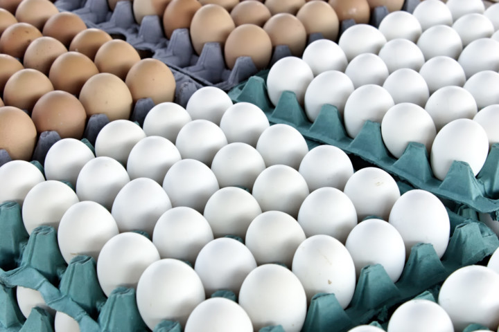 Что влияет на продажи куриного мяса и яиц? рис-2