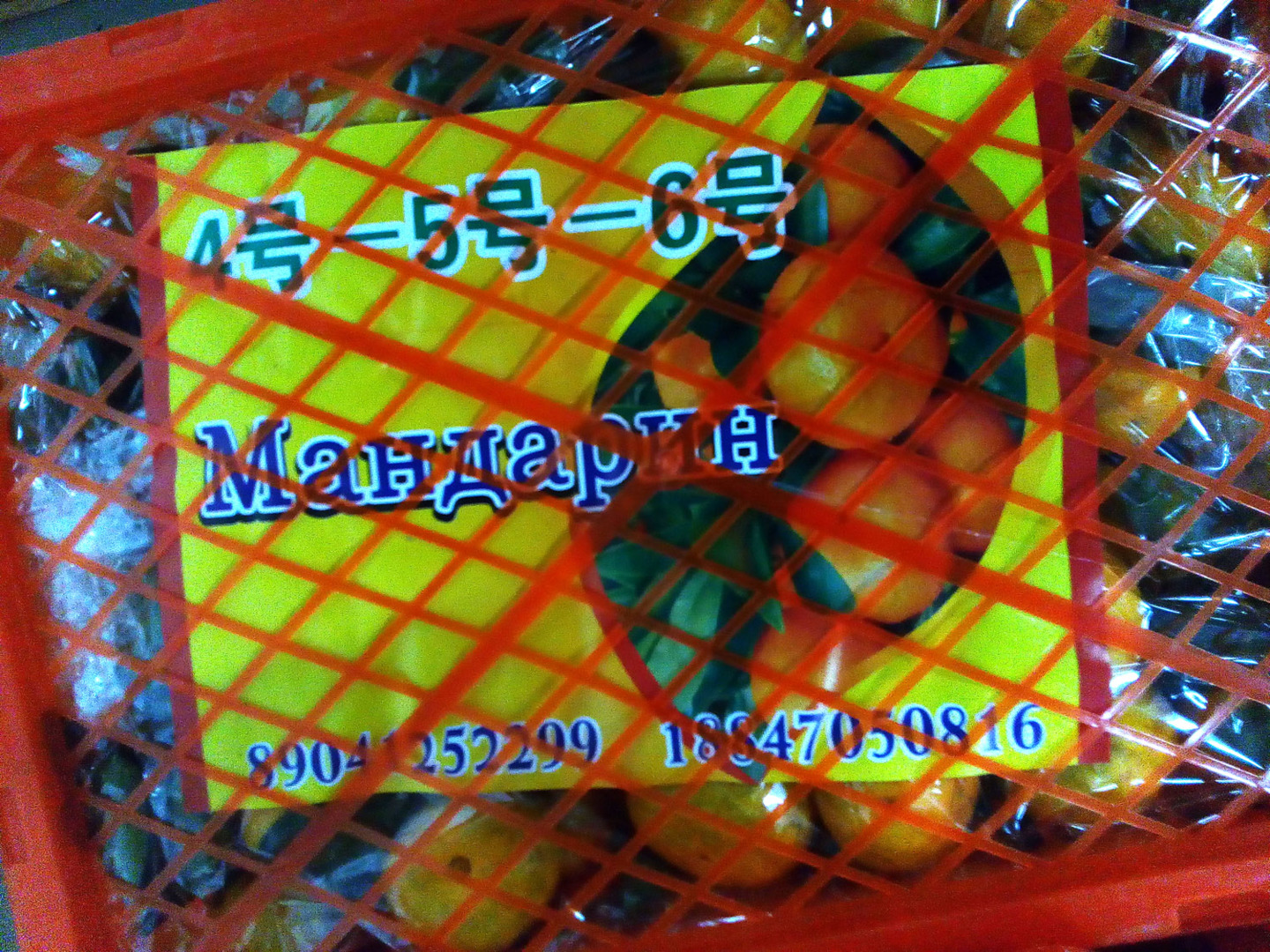 Расследование Росконтроля: что продают под видом абхазских мандаринов? рис-8
