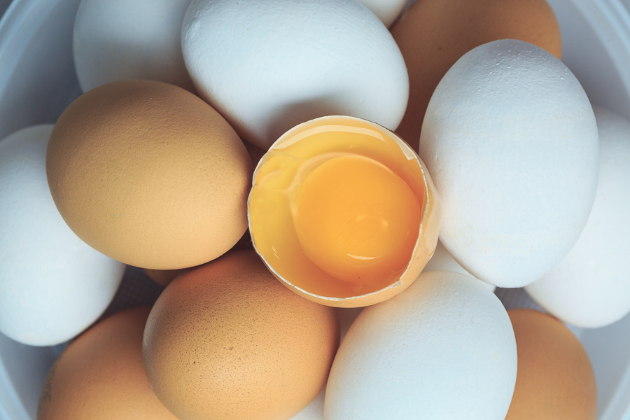 Все, что вам нужно знать о яйцах