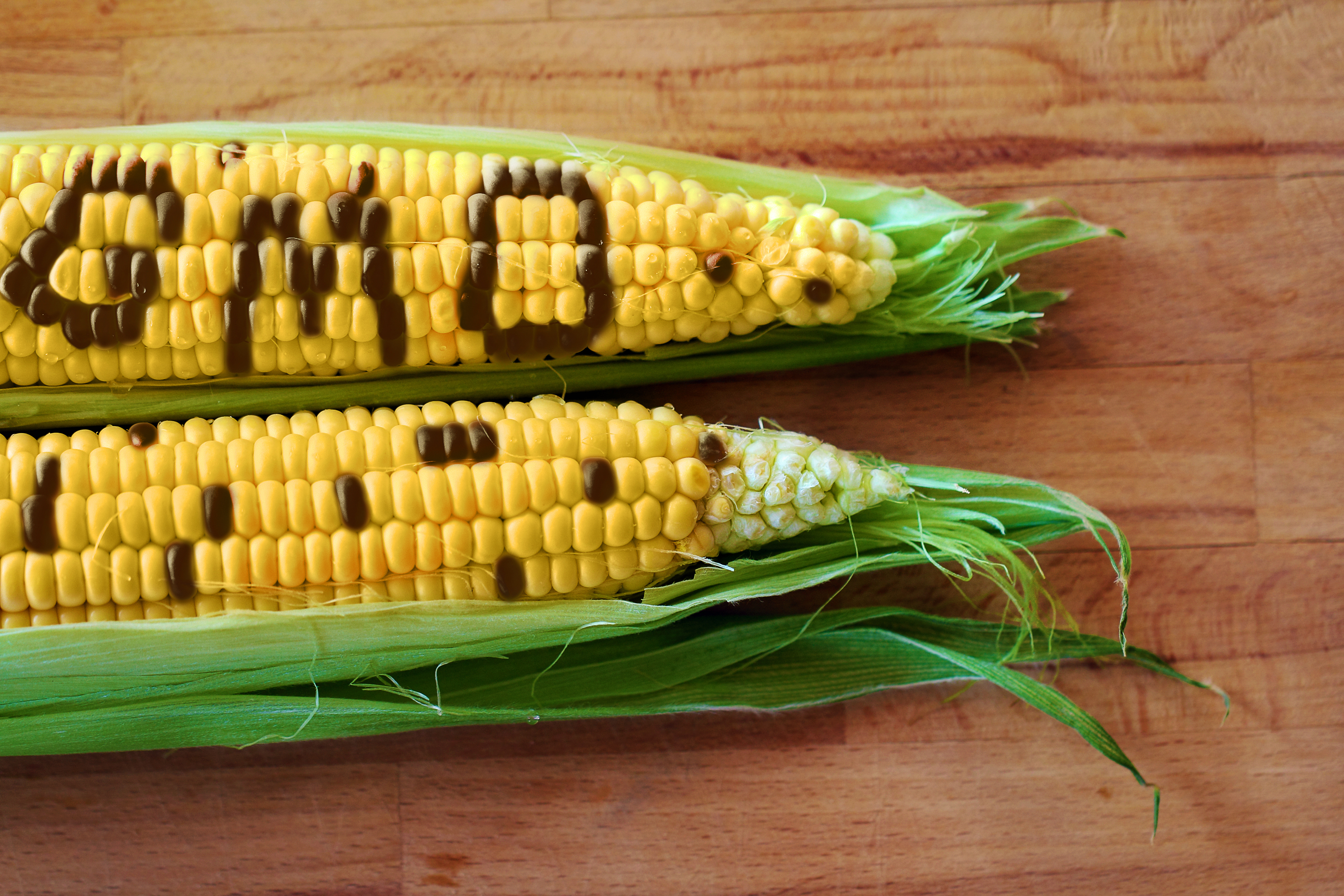 В Госдуму внесли законопроект о запрете на ввоз ГМО