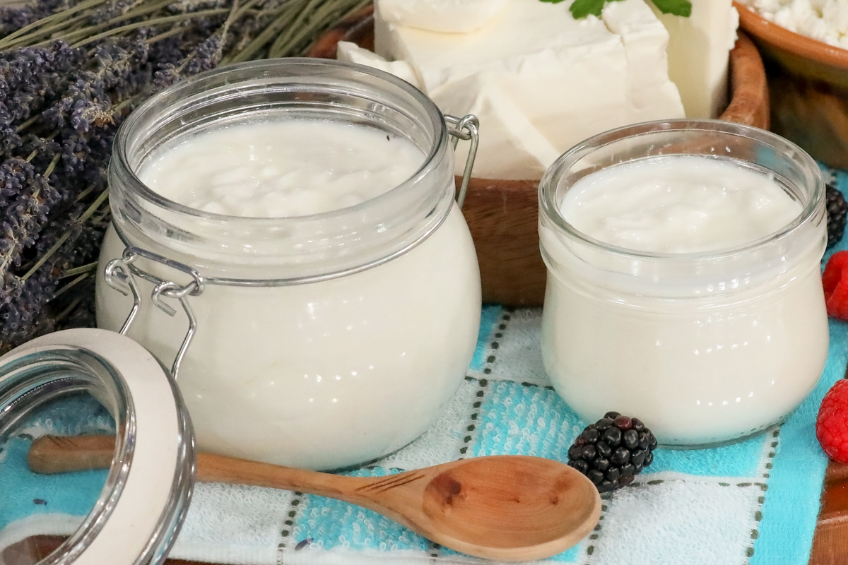 Какую простоквашу делают из молока? Итоги теста