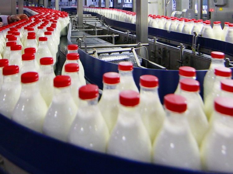 Какое молоко будет самым полезным и безопасным?