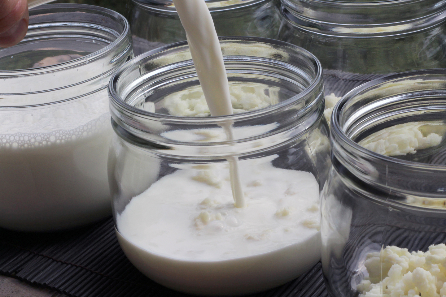 Опасны ли дрожжи в молочных продуктах? рис-2