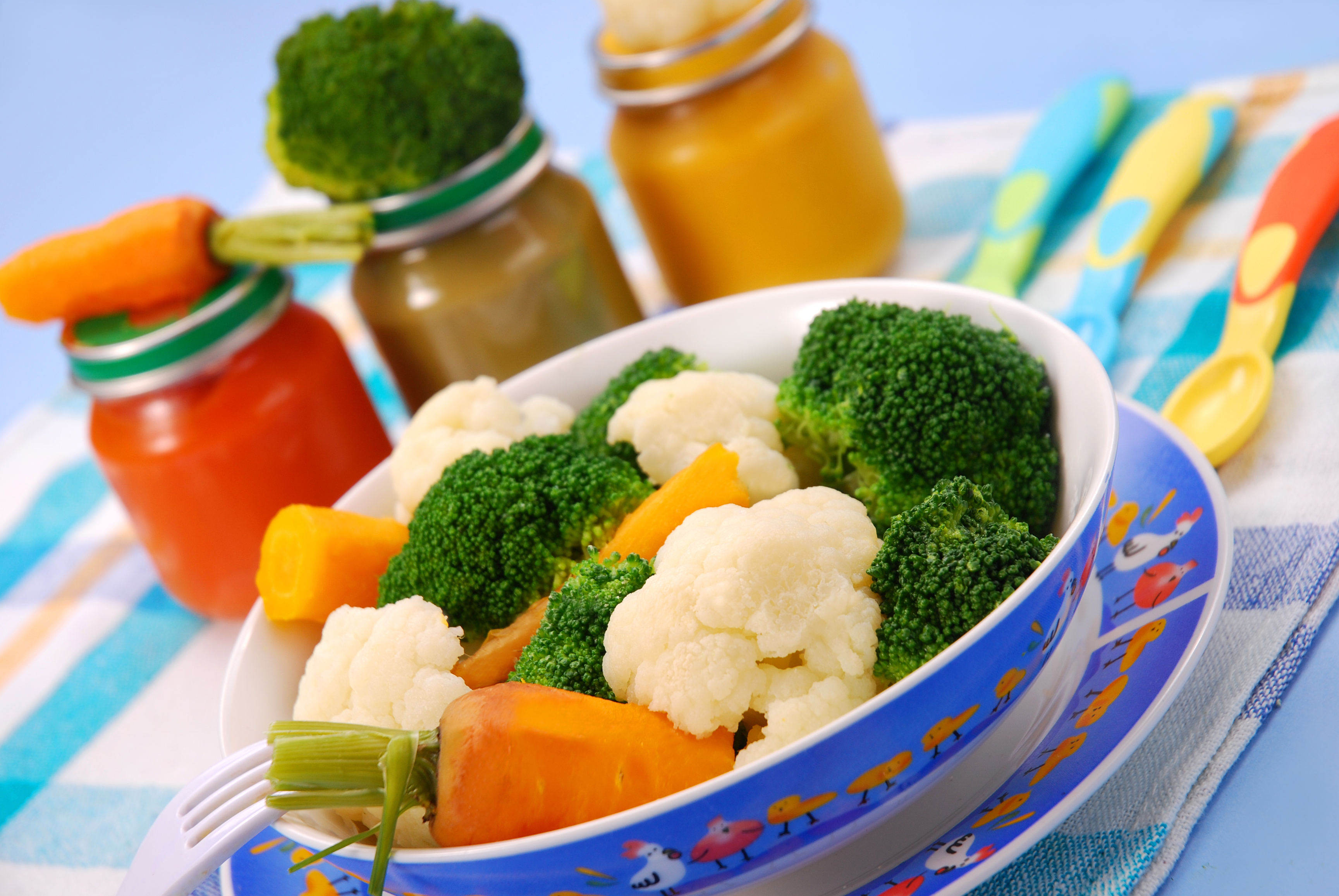 Детское питание можно. Прикорм овощное пюре. Детское питание. Овощное пюре в тарелке. Овощные пюре для первого.