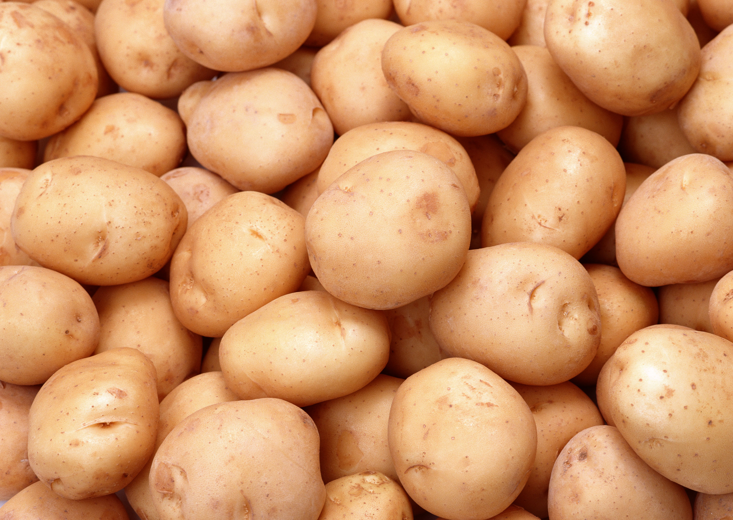 Белорусские ученые вывели диетический сорт картофеля