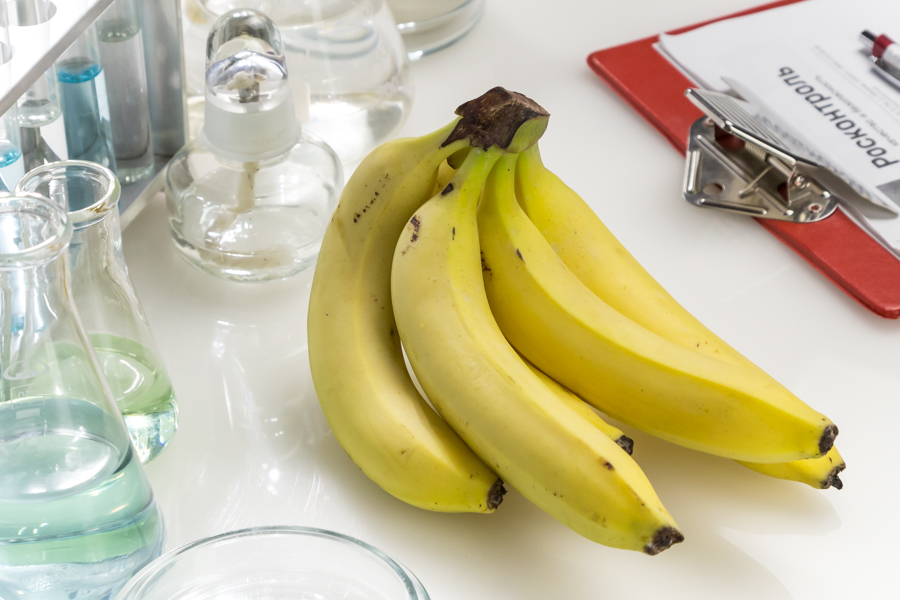 Как выбирать бананы? Теория и практика рис-3