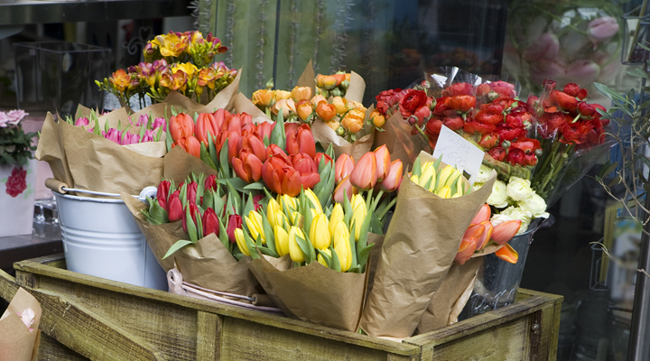 ФАС проконтролирует повышение цен на цветы в преддверии 8 Марта