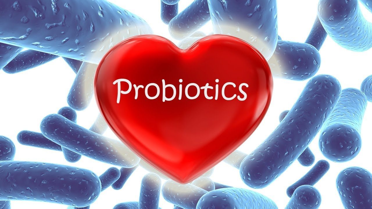 Пробиотики и продукты, их содержащие: самая полная информация от эксперта рис-21