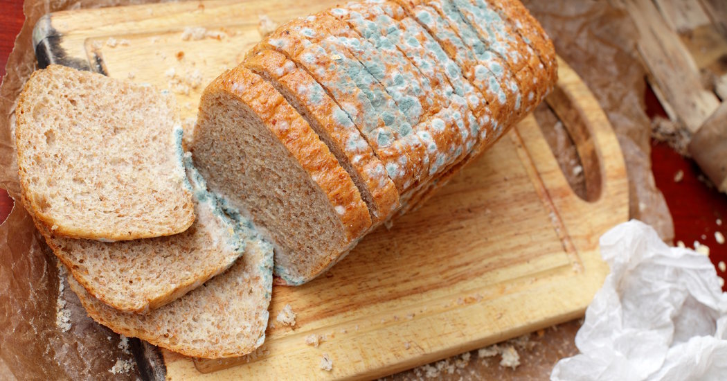 Как правильно хранить хлеб, чтобы он дольше оставался свежим: 7 главных вопросов — Журнал Ситилинк