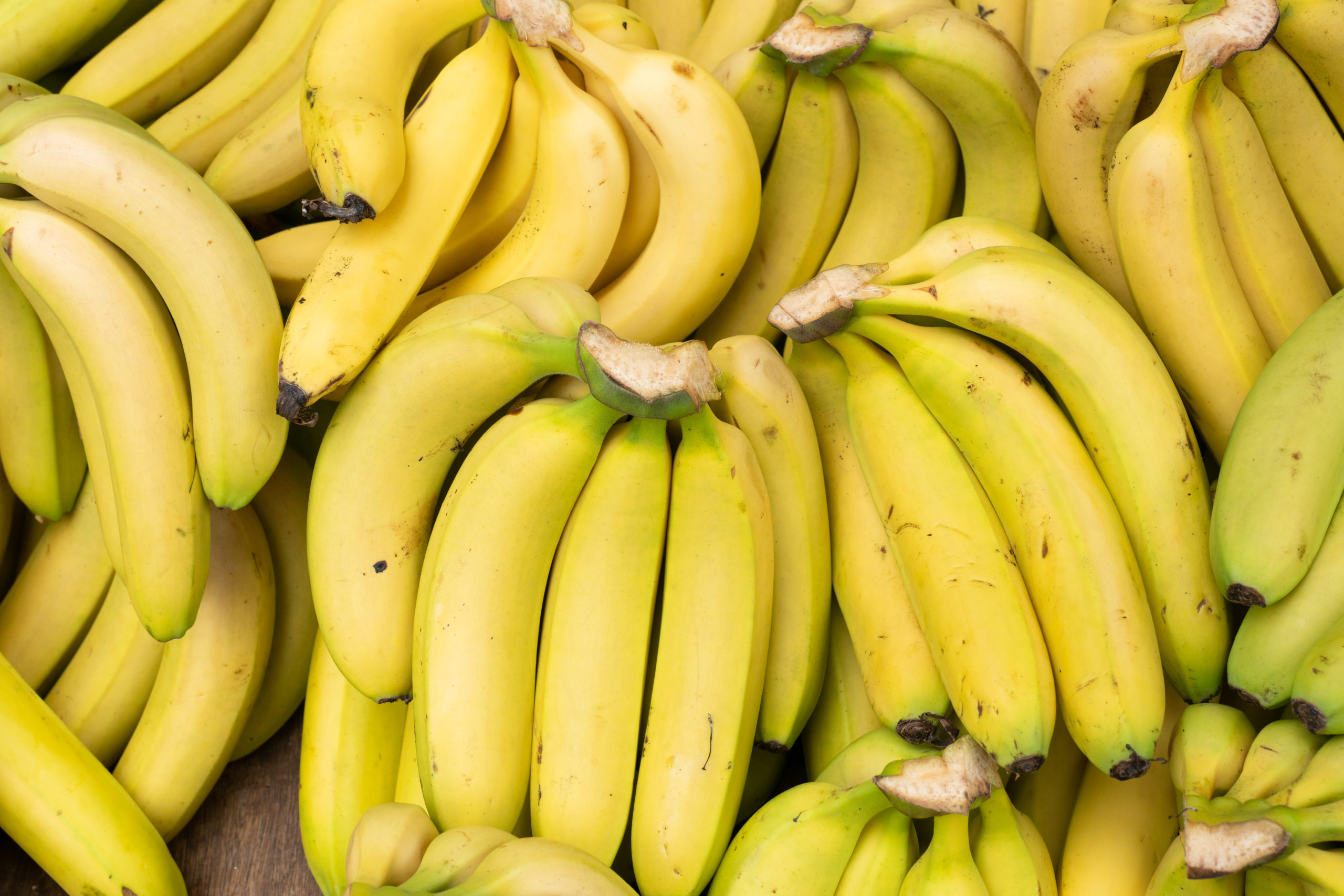 7 главных вопросов о бананах. Экспертиза Росконтроля - Росконтроль