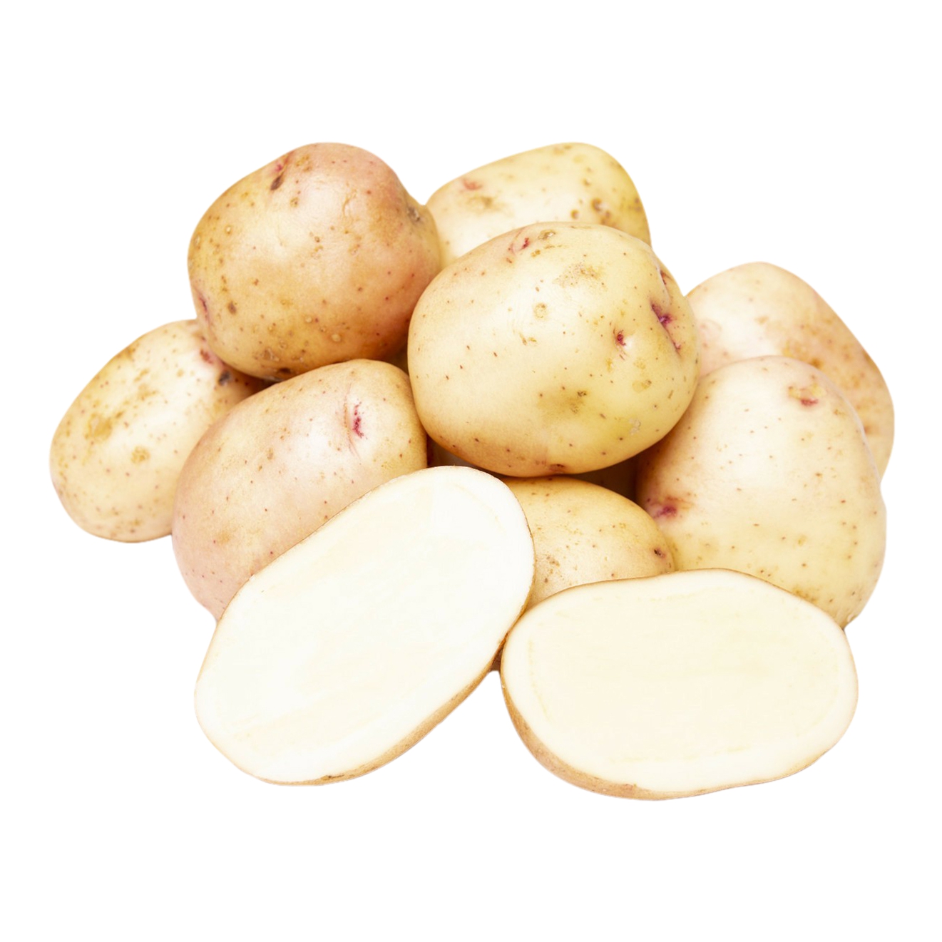 Картофель синеглазка отзывы. Сорт картофеля Синеглазка. Сорт картошки Синеглазка. Картофель Синеглазка Ганнибал. Красный картофель Синеглазка.